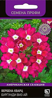 Вербена Кварц Бургунди виз Ай, 10 шт. Семена профи