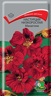 Настурция низкорослая Махагони, 1 г