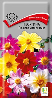 Георгина Пикколо Мигнон Микс, 0,3 г