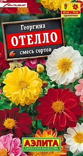 Георгина Отелло, смесь, 7 шт.