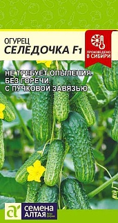 Огурец Селедочка F1, 5 шт. 