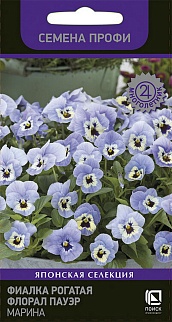 Фиалка рогатая Флорал Пауэр Марина, 10 шт.