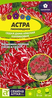 Астра Седая Дама Красная карликовая, 0,1 г