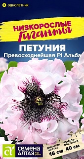 Петуния Превосходнейшая F1, Альба, 7 шт. Низкорослые гиганты. 
