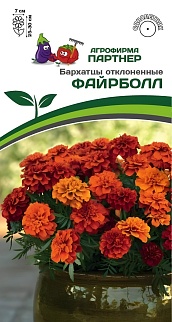 Бархатцы отклоненные Файрболл, 10 шт.