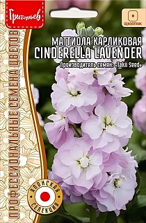 Маттиола карликовая Cinderella Lavender, 5 шт.