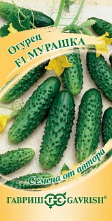 Огурец Мурашка F1, 10 шт. Авторские семена.