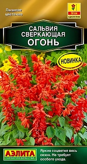 Сальвия сверкающая Огонь, 0,05 г