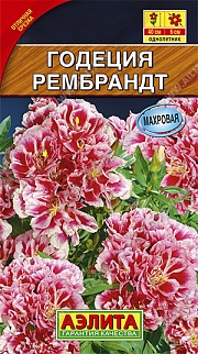 Годеция Рембрандт, 0,2 г