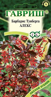 Барбарис тунберга Алекс, 0,2 г 