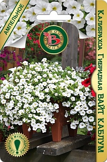 Калибрахоа гибридная F1 Вайт Каблум, 5 шт. Биотехника