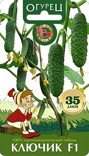 Огурец Ключик F1, 8 шт. Биотехника