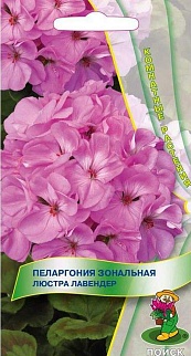 Пеларгония зональная Люстра Лавендер, 5 шт. Комнатные растения