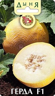 Дыня Герда F1, 6 шт. Биотехника.