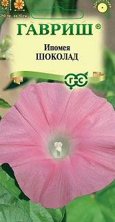 Ипомея Шоколад, 0,3 г 