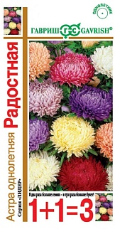 Астра Букет роскошный школьный, смесь, 0,5 г. 1+1