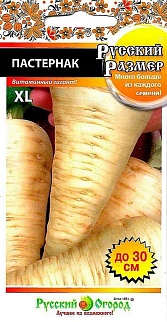 Пастернак XL, 100 шт. Русский размер. Русский огород