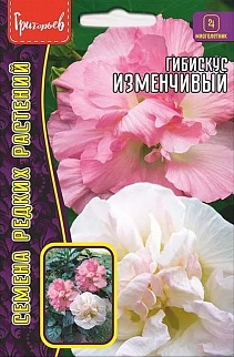 Гибискус Изменчивый, 10 шт.