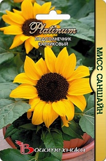 Подсолнечник карликовый Мисс Саншайн, 5 шт. Platinum Биотехника
