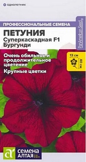 Петуния Суперкаскадная F1 Бургунди, 7 шт.