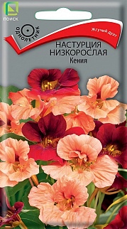 Настурция низкорослая Кения, 1 г