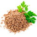 Кумин (зира)