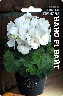 Пеларгония зональная карликовая Нано F1 Вайт, 5 шт. Биотехника