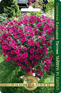 Петуния гигантская каскадная Тайфун F1 Парп, 5 шт. Биотехника