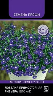 Лобелия прямостоячая Ривьера Блю Айс, Семена Профи, 10шт.