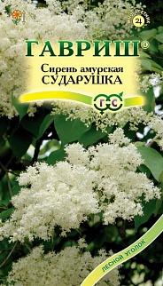 Сирень амурская Сударушка, 0,1 г. Лесной уголок.