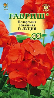 Пеларгония зональная Луция F1, 4 шт.