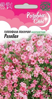 Гипсофила ползучая Розовая, 0,1 г. Розовые сны.