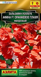 Бальзамин Афина F1, оранжевое пламя, 5 шт.