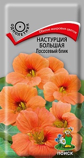 Настурция большая Лососевый блик, 1 г