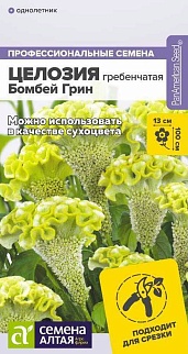 Целозия Бомбей Грин гребенчатая, 3 шт. 