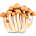 Мицелий грибов