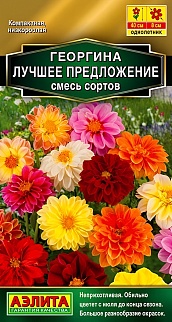 Георгина Лучшее предложение, смесь сортов, 7 шт.