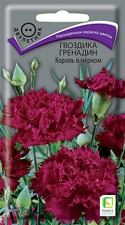 Гвоздика Гренадин Король в черном, 0,01 г