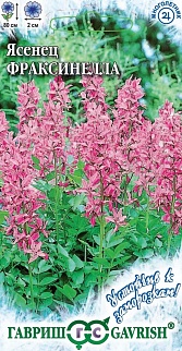 Ясенец Фраксинелла, 3 шт. Устойчив к заморозкам.