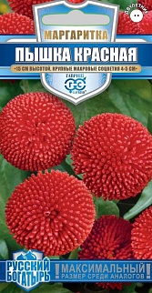 Маргаритка Пышка Красная, 5 шт. Русский богатырь.
