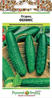 Огурец Феникс, 0,5 г Русский огород
