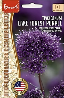 Трахелиум Lake Forest Purple, 3 шт. драже.