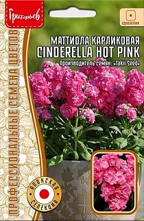 Маттиола Cinderella Hot Pinк (Золушка горячий розовый) карликовая, махровая, 5 шт.