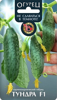 Огурец Тундра F1, 10 шт. Биотехника