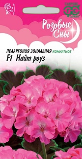 Пеларгония зональная Найт Роуз F1, 4 шт. Розовые сны.