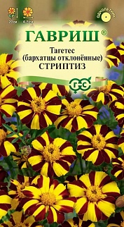 Бархатцы отклонённые Стриптиз, 0,3 г