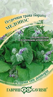 Огуречная трава (бораго) Медонос, 0,3 г. Авторские семена.