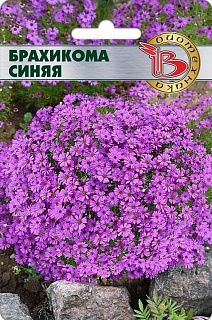 Брахикома Блю, 200 шт. Биотехника