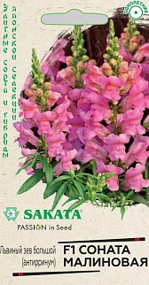 Антирринум Соната, малиновая F1, 10 шт.