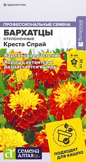 Бархатцы Креста Спрай махровые, 10 шт. 
